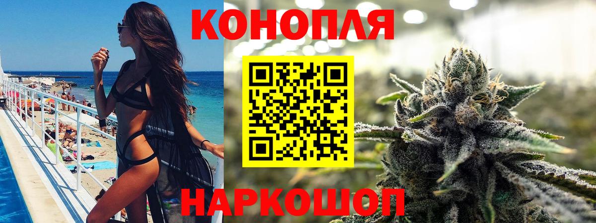 Бошки марихуана Bruce Banner  Каннабис Amnesia  Вход с VPN  Балтийск  Канабис Bruce Banner 